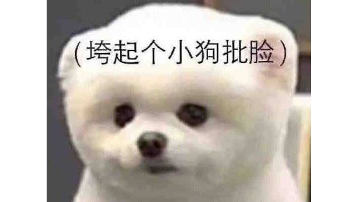 ftw2.95光女无翅膀无伤截图