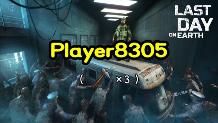 抄家Player8305《地球末日生存》截图