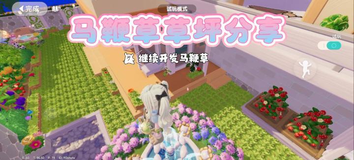 马鞭草做成草坪有没有搞头截图