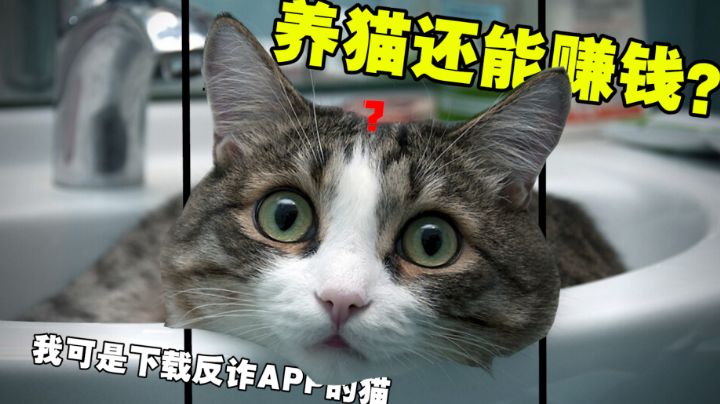 #好游研究所#良心游戏?这简直是用心良苦截图