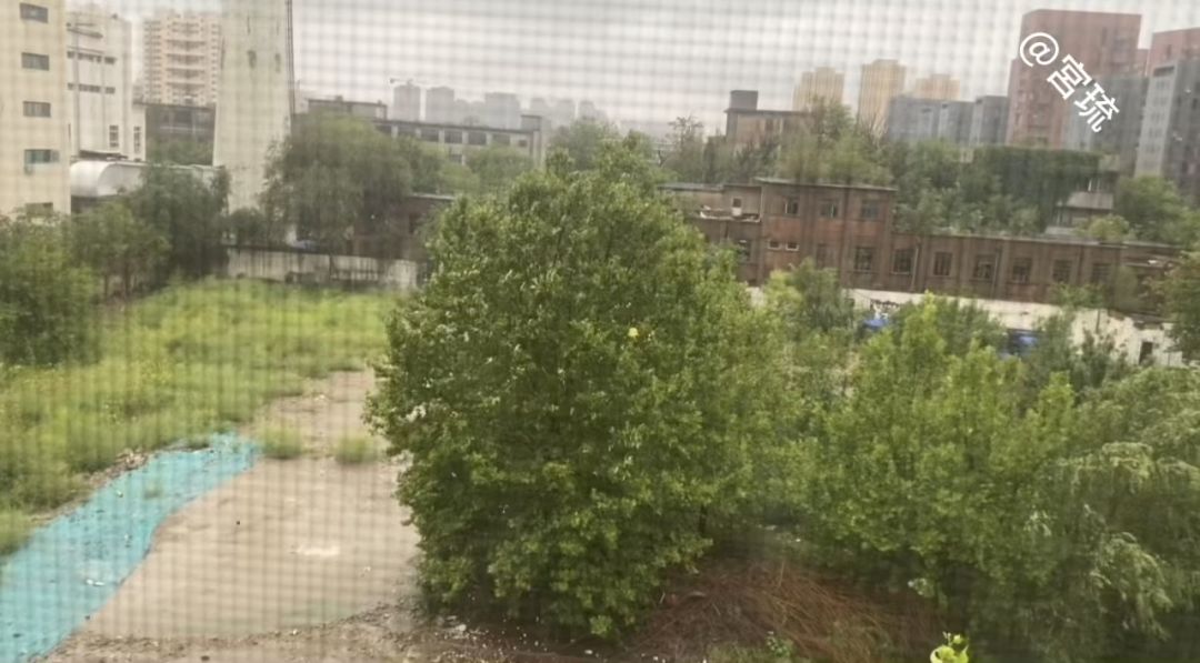 video-4370125