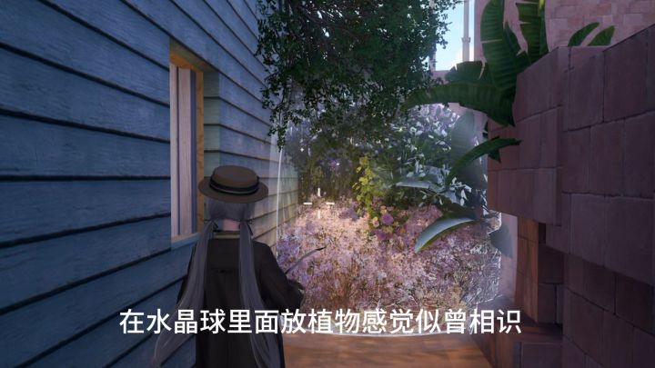 微观生态瓶截图