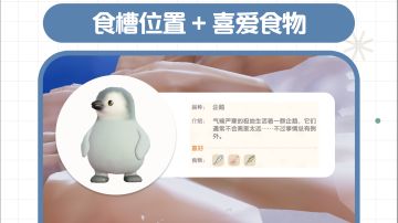 心动小镇限时动物企鹅｜食槽位置+喜好食物