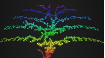 感觉这游戏是玩明白了