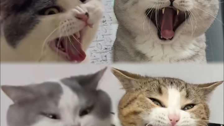 挂机-魔猎手箭术13.4万无药真理之地史诗通关视频截图