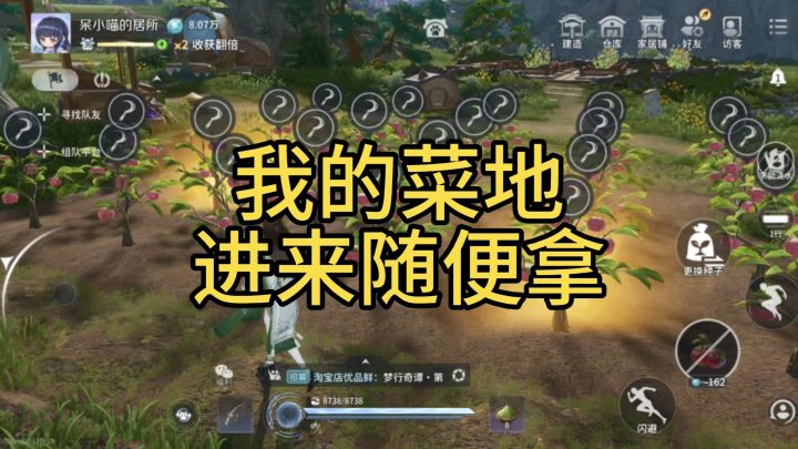没有放置宠物猫,也没有设置保护时间,快来偷菜吧~截图