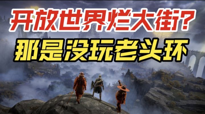 开放世界烂大街?那是没玩老头环截图