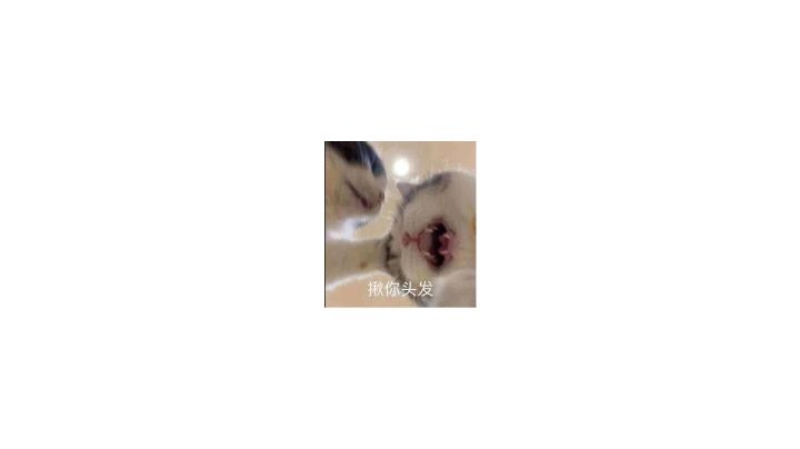 幽莲玄湮势不两立截图
