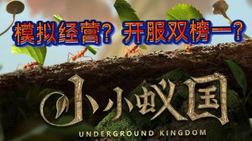 【榜一游戏试玩】双榜一黑马玩着到底怎么样？