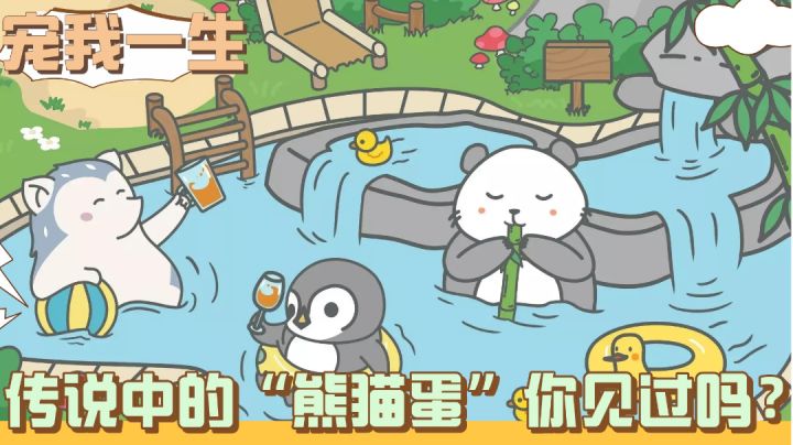 宠我一生:衣食住行全要解决,这养成也太真实了#新游观察局#截图