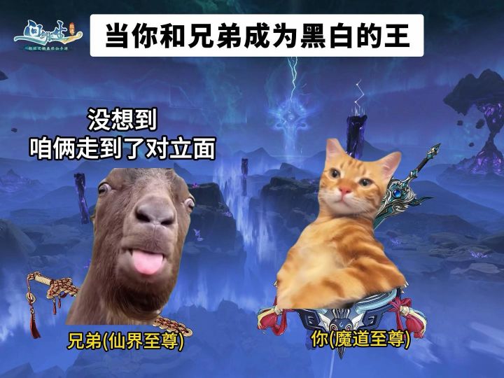 当你和兄弟成为了黑白的王截图