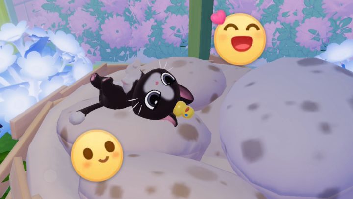 分享一下我的猫猫,它超可爱❤️截图