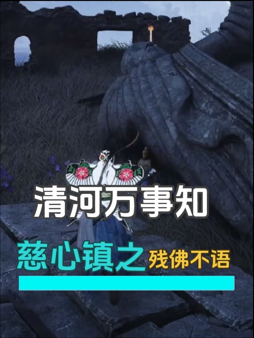 video-4712198