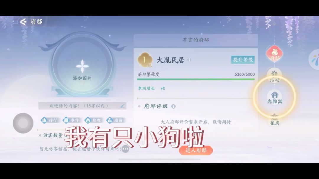 video-3602616
