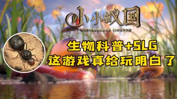 小小蚁国热门生物鉴定，这波生物科普我给满分#小小蚁国 公测#