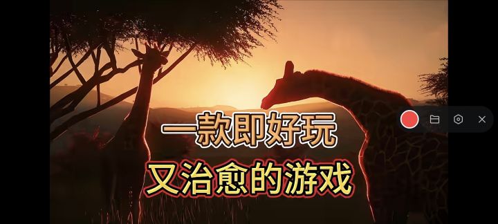 好玩治愈游戏安利【动物园之星】截图