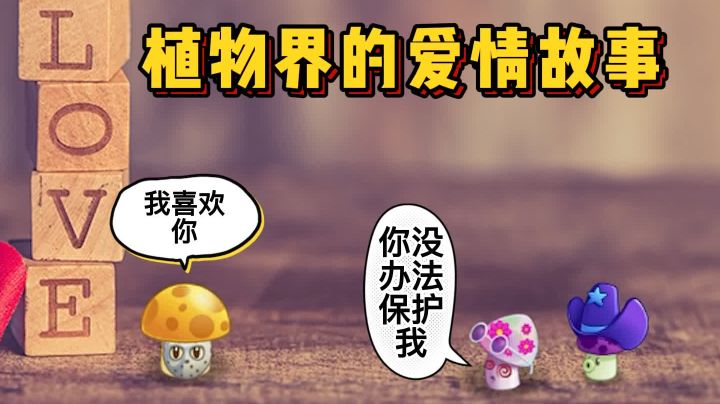 植物界的爱情故事,当面具菇爱上了魅惑菇!截图