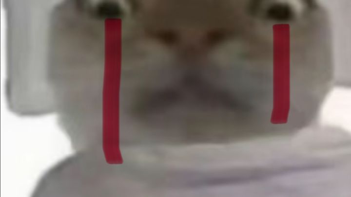 七月同步4截图