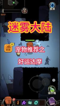 迷雾宠物推荐好运达摩详解！