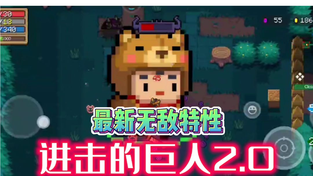 video-2975890