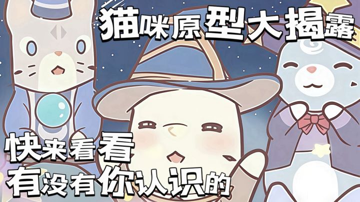 原来猫汤里面的猫猫都长这样!截图