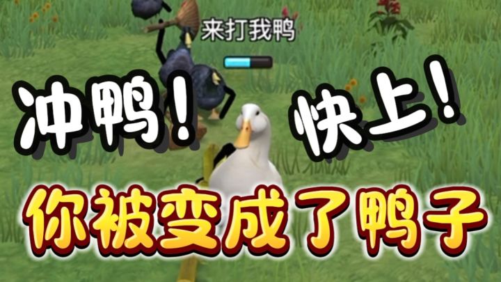 关于我变成了鸭子这件事…截图