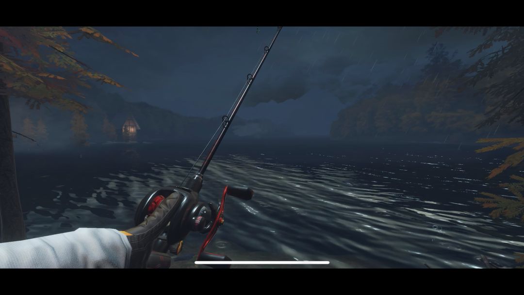 video-4094045