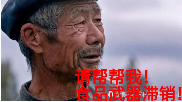 苹果1毛钱三个,十个金币随便挑!截图