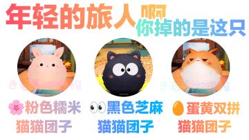 年轻的旅人啊~你掉的是哪只😼😽❓《森之国度》日系治愈二次元MMO RPG