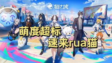 总有一天，全城的猫，都要被我吸！#猫之城#