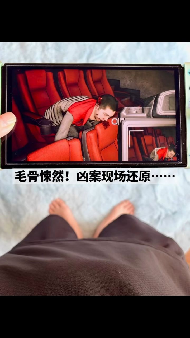 烧脑预警!switch冷门硬核体验法医!!!截图