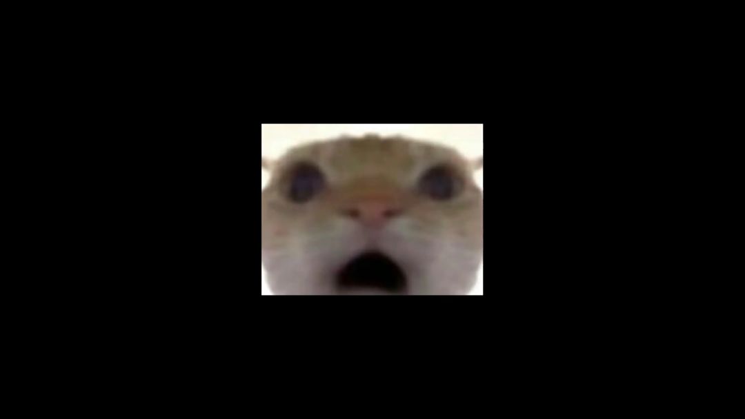 video-4534178