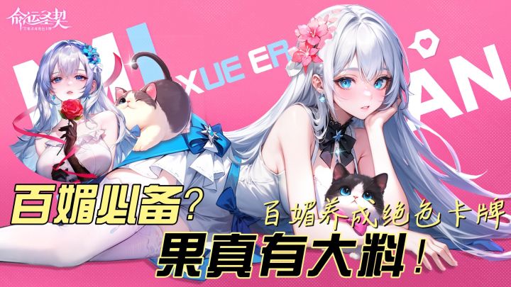 王炸！不是命运很护肝而是圣契有无忧啊！【命运圣契】有大料！截图