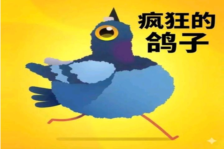 鸽子也会跳舞？26年第一个爆梗诞生！截图