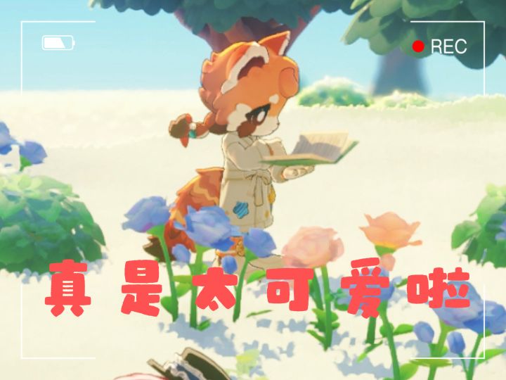 就这样默默地看着,也好有趣啊截图