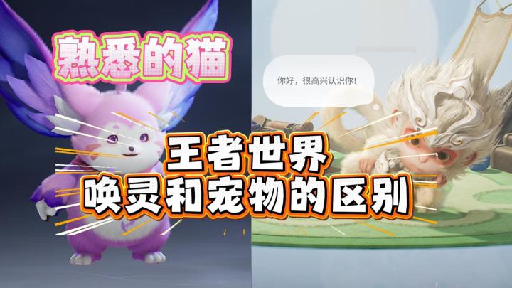 王者世界里唤灵和宠物的区别截图