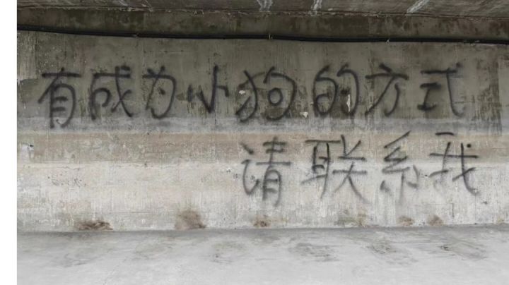 特效太好看 当人鱼单推人截图