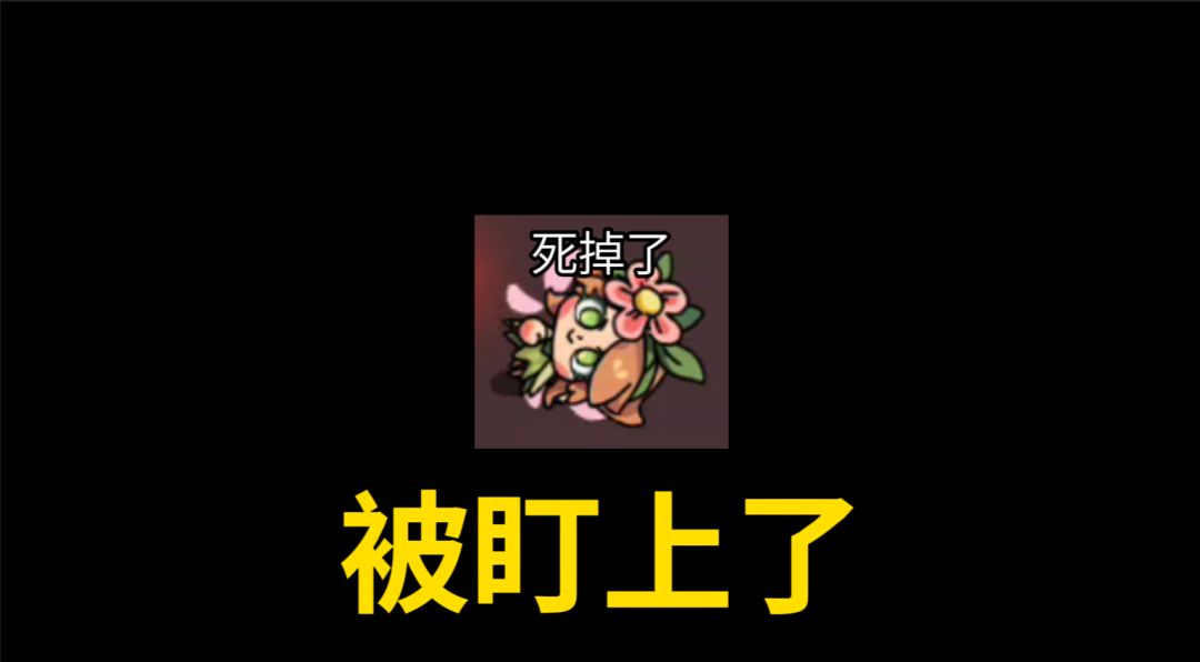 video-4964505