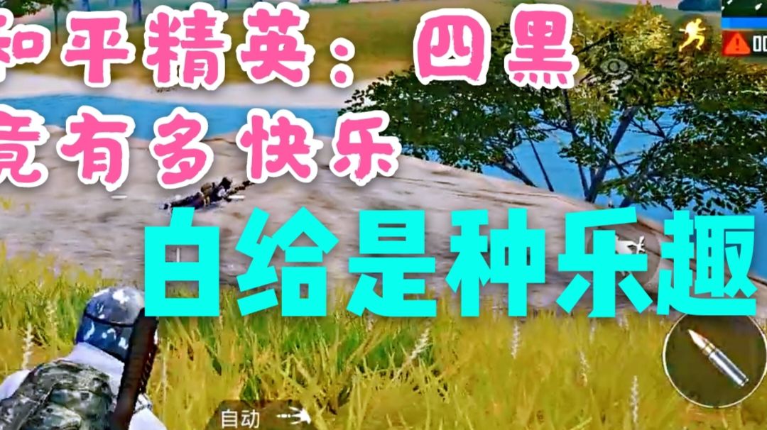 video-3769192