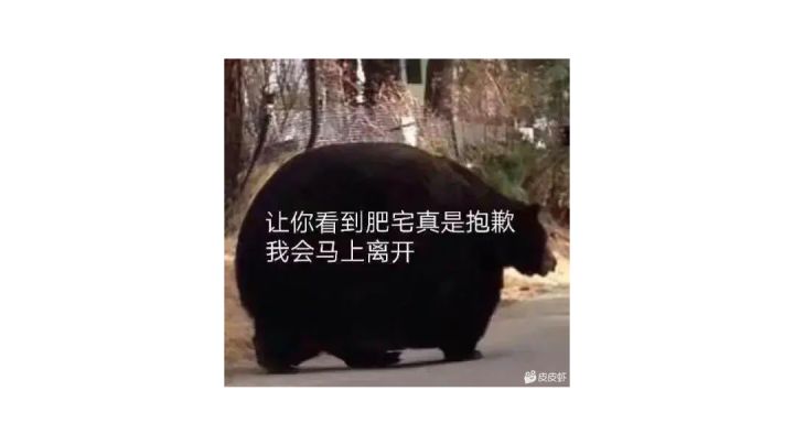 \\\\٩( 'ω' )و ////截图