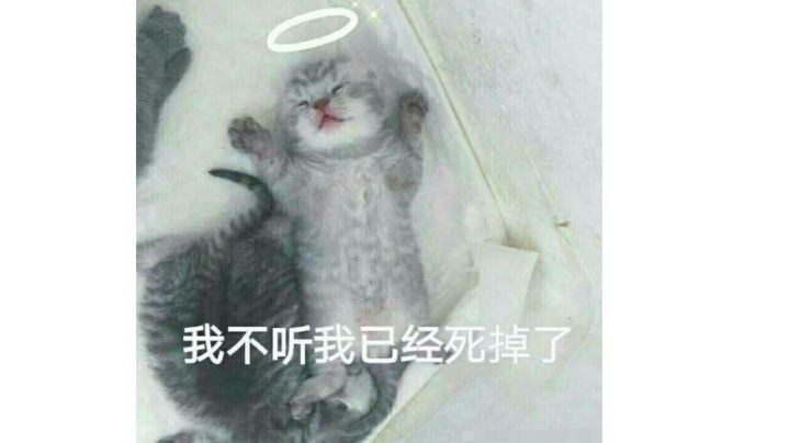 四星库斯特23秒轻松拿下 神勇敏拔(整活组)截图