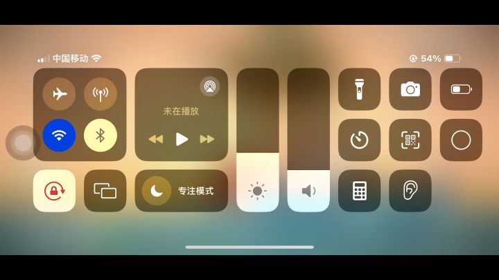 bug截图