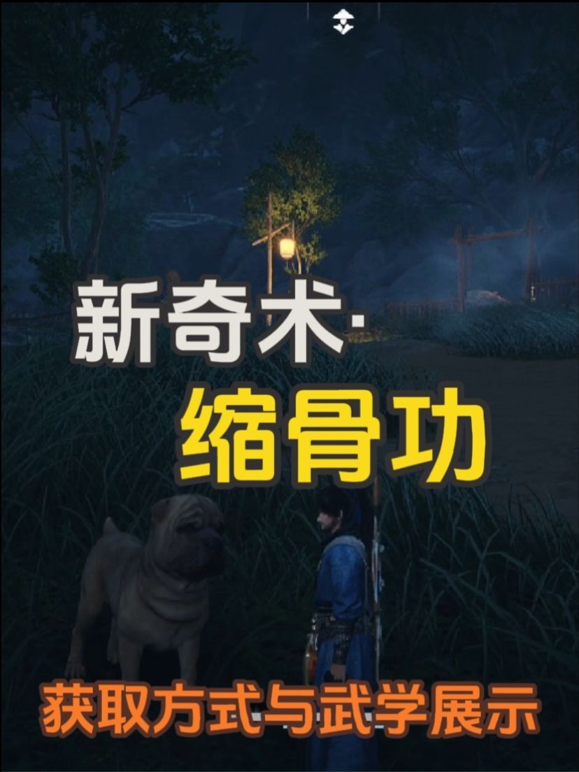 video-4705244