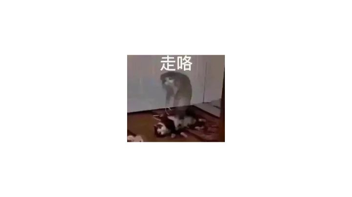 一位德棍突然失去梦想截图