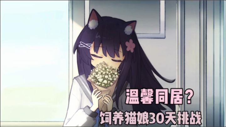 我养了一只猫娘❗️在生命尽头最后30天❓截图