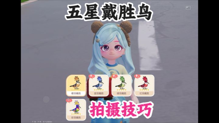 五星戴胜鸟拍摄技巧来了。今晚6点前都能拍截图