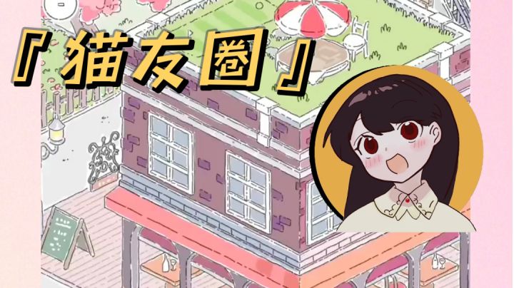 猫友圈|散养可爱猫猫仔截图