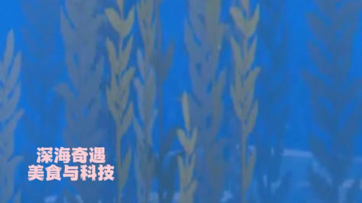深海世界，与鱼共舞截图