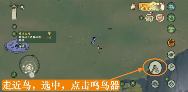 一个抓鸟小视频截图