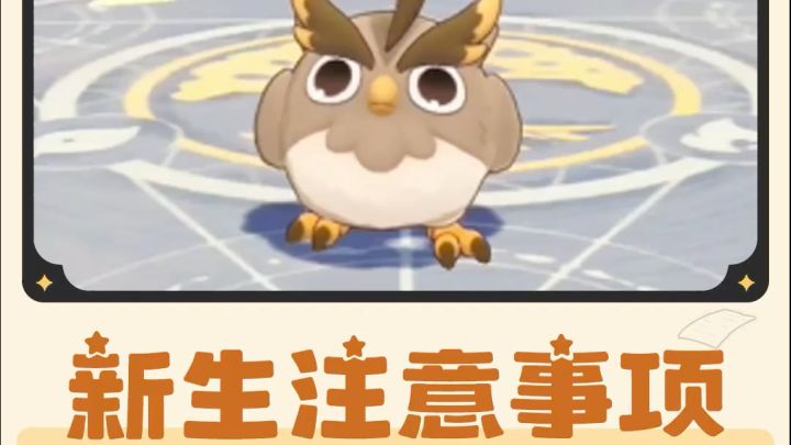 魔法学院新生注意事项截图